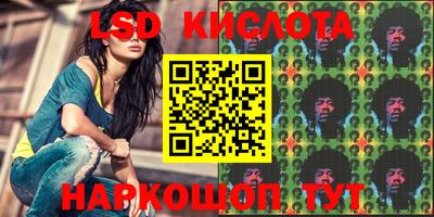 бошки Новозыбков