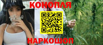 бошки Новозыбков