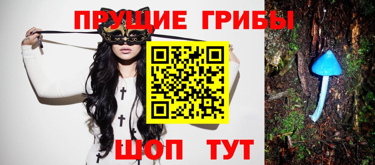 Таганрог  Галлюциногенные грибы GOLDEN TEACHER  Вход с VPN 