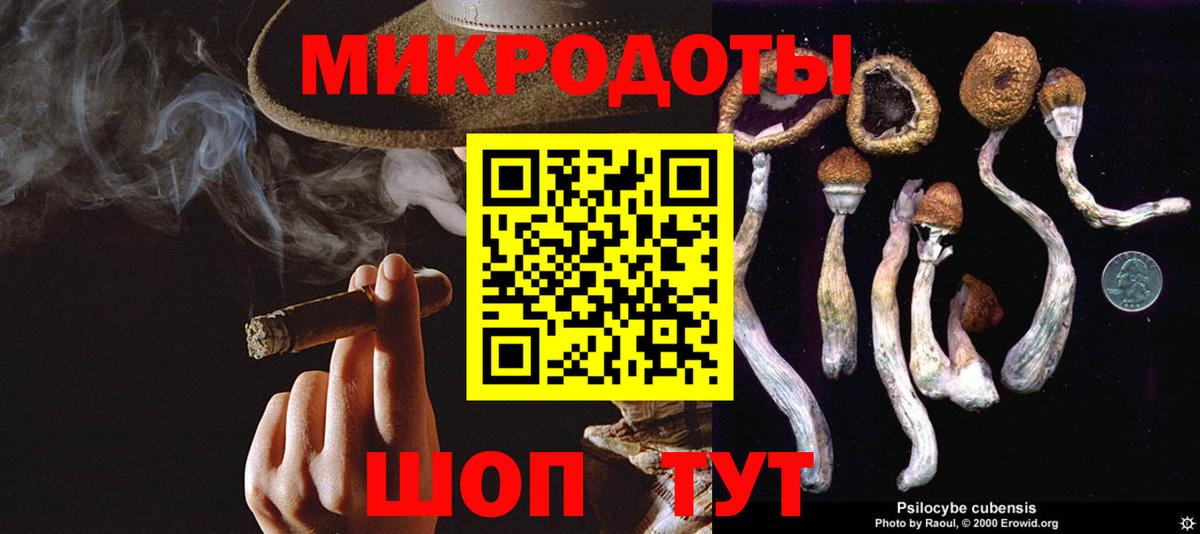 Псилоцибиновые грибы прущие грибы Таганрог
